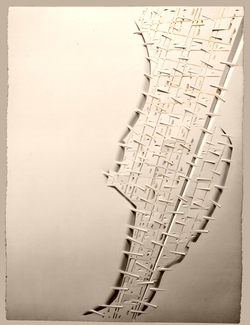 Chalcosoma atlas