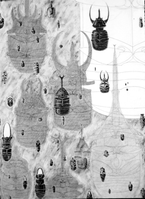 Chalcosoma atlas